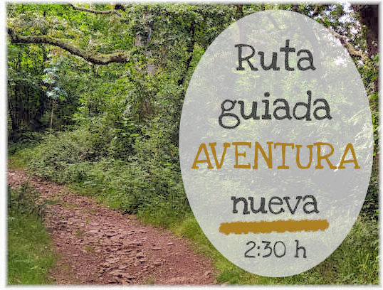 Ruta guiada pro versión cuadrada